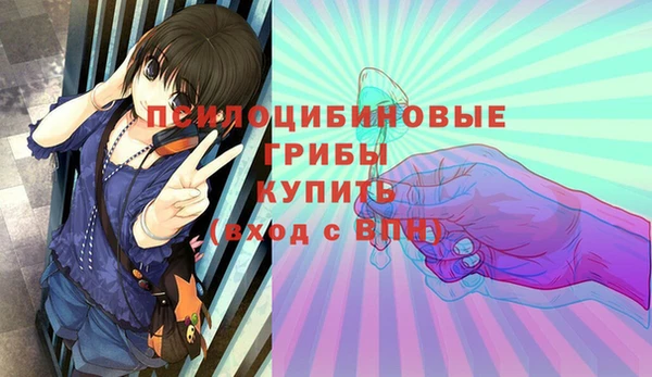 синтетический гашиш Алексин