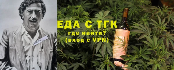 шишки Абаза