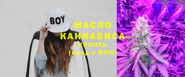 шишки Абаза