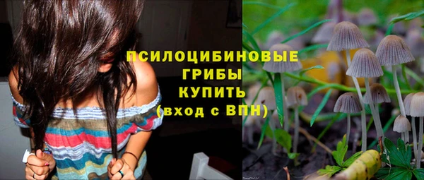 шишки Абаза