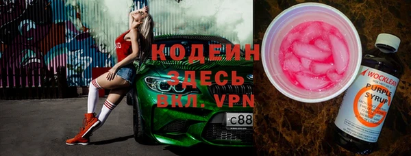 шишки Абаза