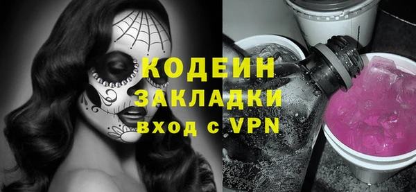 шишки Абаза